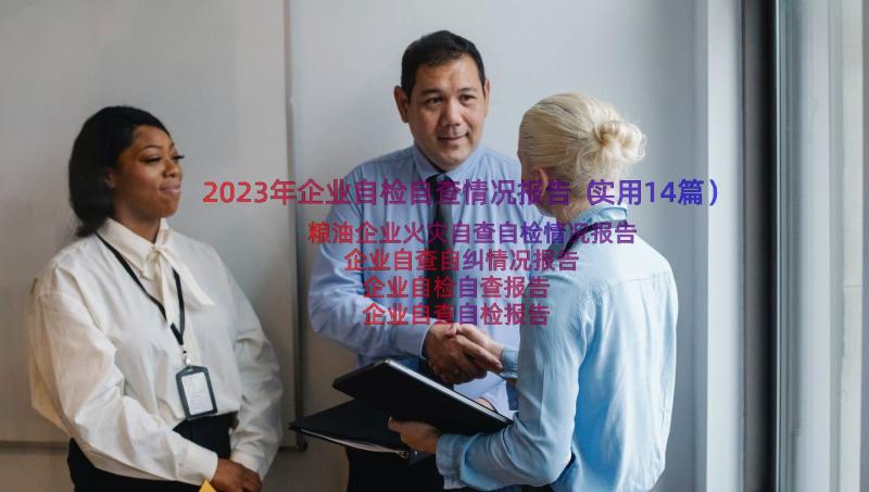 2023年企业自检自查情况报告（实用14篇）