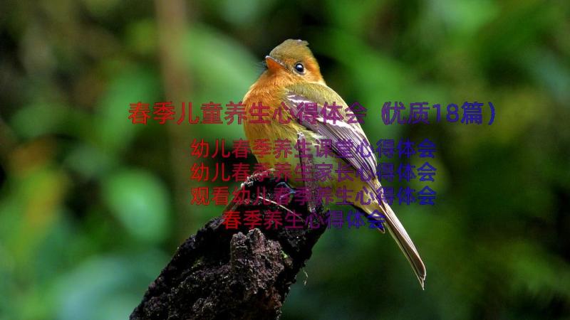 春季儿童养生心得体会（优质18篇）