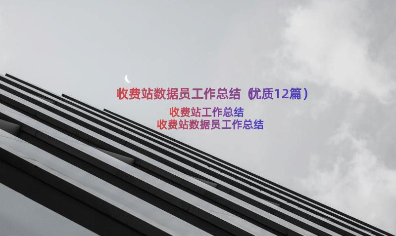 收费站数据员工作总结（优质12篇）