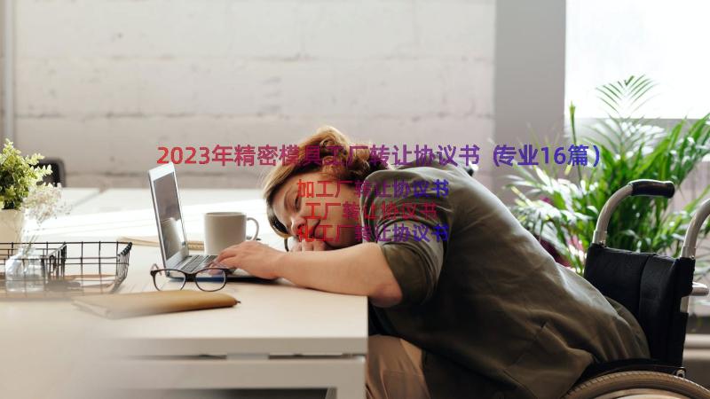 2023年精密模具工厂转让协议书（专业16篇）