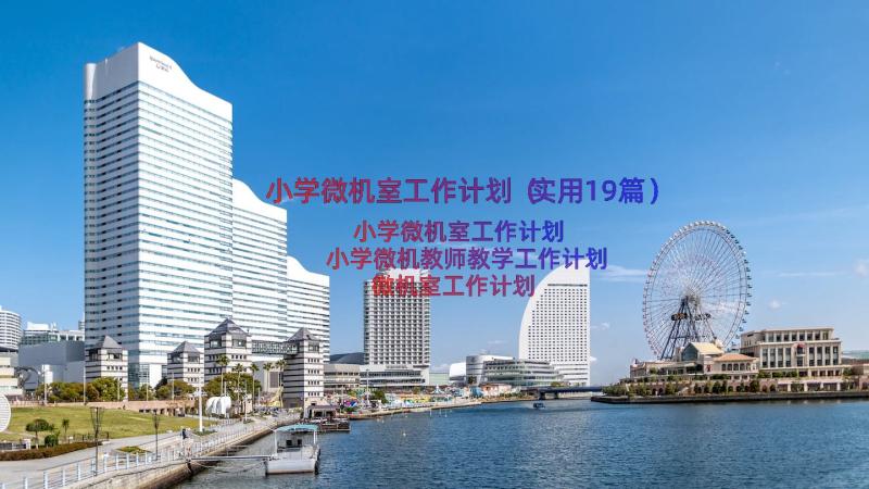 小学微机室工作计划（实用19篇）