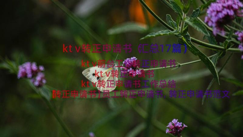 ktv转正申请书（汇总17篇）