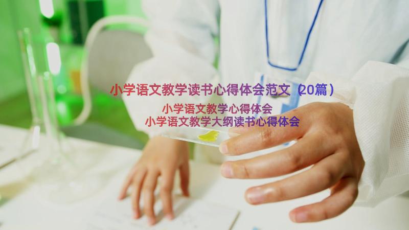 小学语文教学读书心得体会范文（20篇）