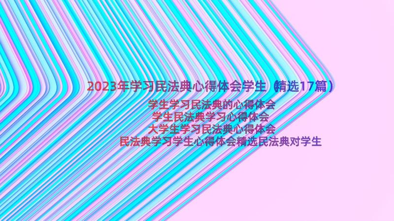 2023年学习民法典心得体会学生（精选17篇）