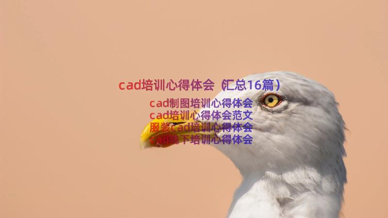 cad培训心得体会（汇总16篇）