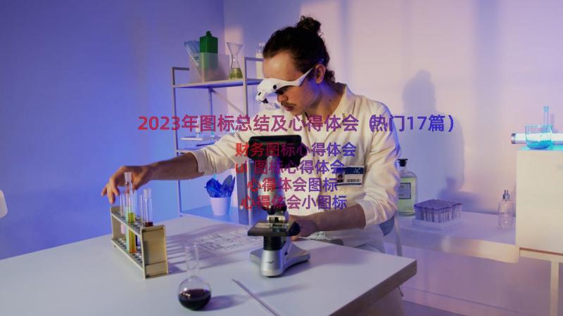 2023年图标总结及心得体会（热门17篇）