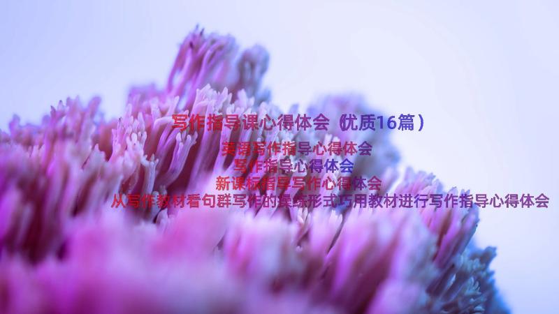 写作指导课心得体会（优质16篇）