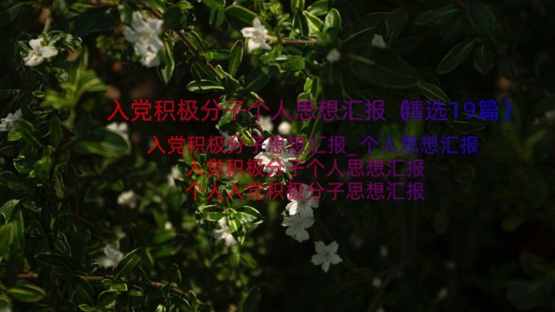 入党积极分子个人思想汇报（精选19篇）