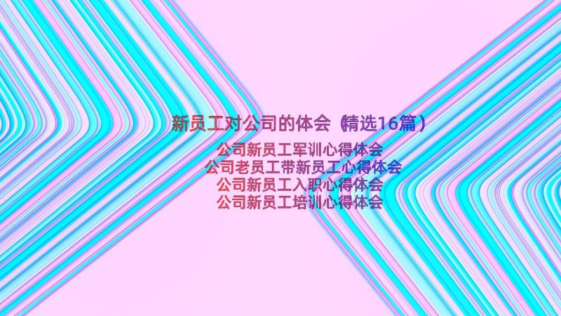 新员工对公司的体会（精选16篇）