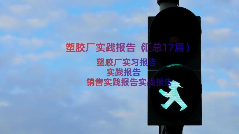 塑胶厂实践报告（汇总17篇）