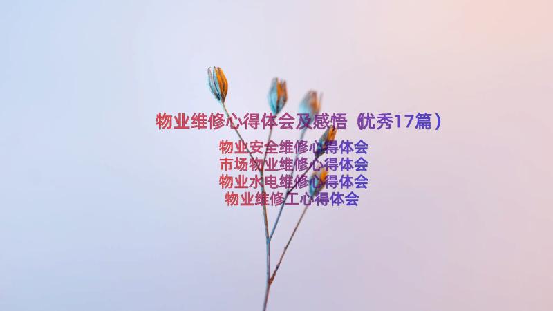 物业维修心得体会及感悟（优秀17篇）