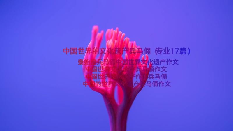 中国世界的文化遗产兵马俑（专业17篇）