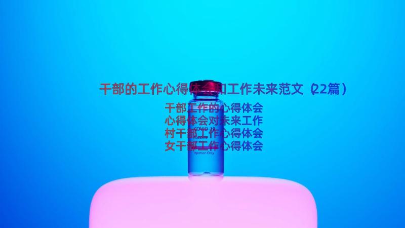 干部的工作心得体会和工作未来范文（22篇）