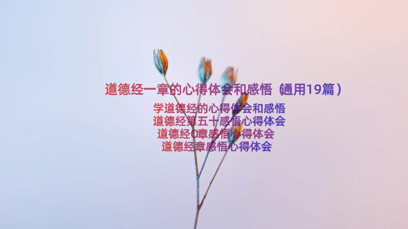 道德经一章的心得体会和感悟（通用19篇）