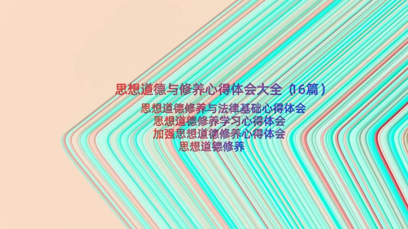 思想道德与修养心得体会大全（16篇）