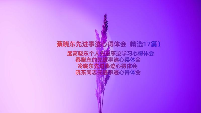 蔡晓东先进事迹心得体会（精选17篇）