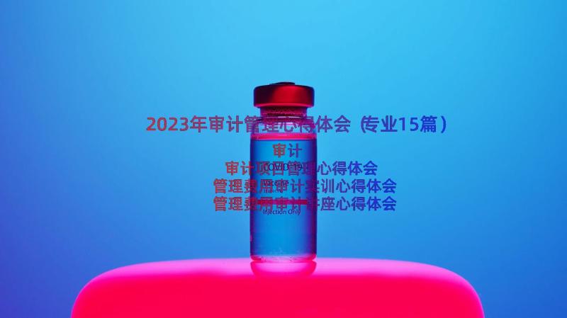 2023年审计管理心得体会（专业15篇）