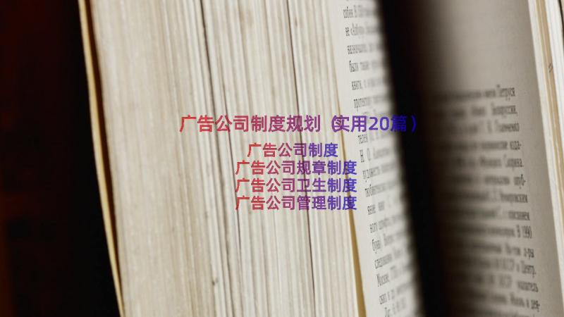 广告公司制度规划（实用20篇）