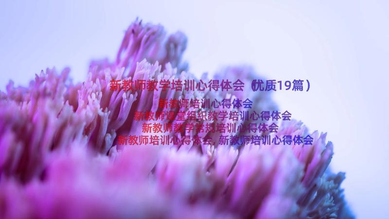 新教师教学培训心得体会（优质19篇）