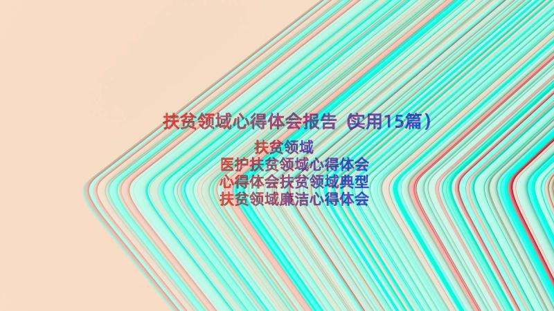 扶贫领域心得体会报告（实用15篇）