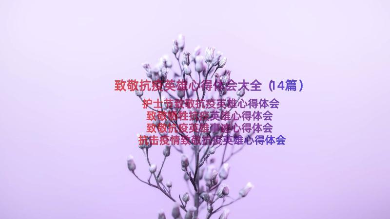 致敬抗疫英雄心得体会大全（14篇）