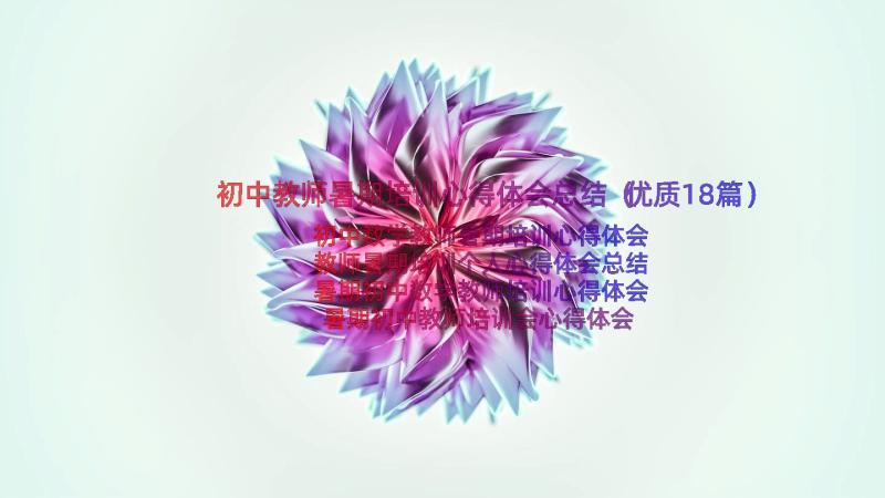 初中教师暑期培训心得体会总结（优质18篇）