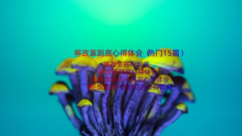 将改革到底心得体会（热门15篇）