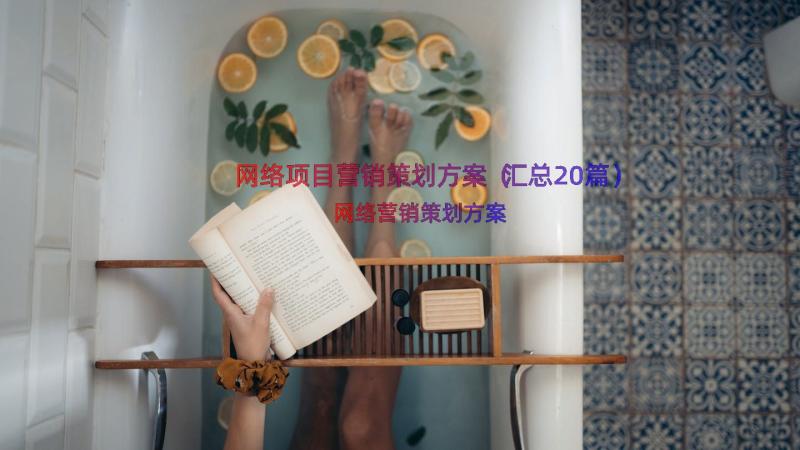 网络项目营销策划方案（汇总20篇）