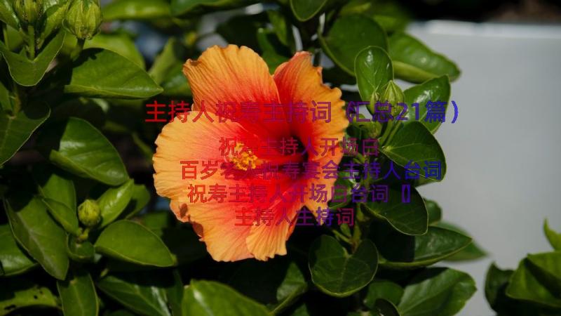 主持人祝寿主持词（汇总21篇）