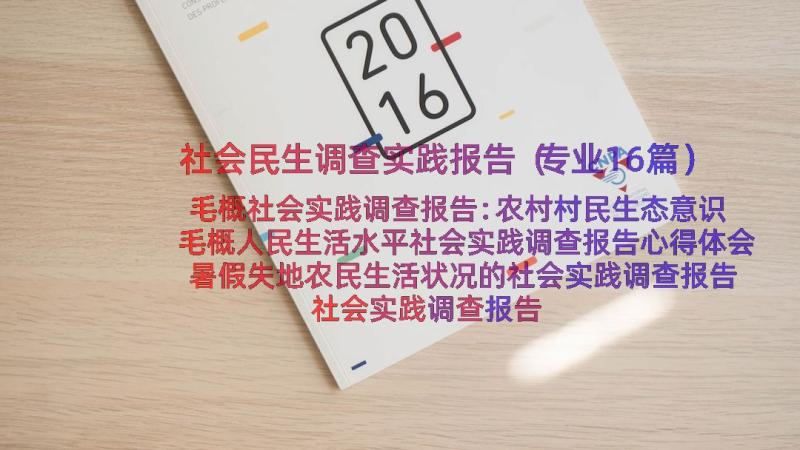 社会民生调查实践报告（专业16篇）