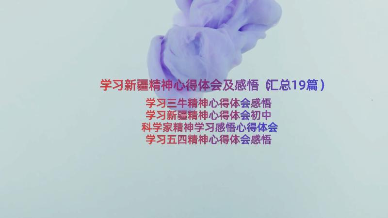 学习新疆精神心得体会及感悟（汇总19篇）