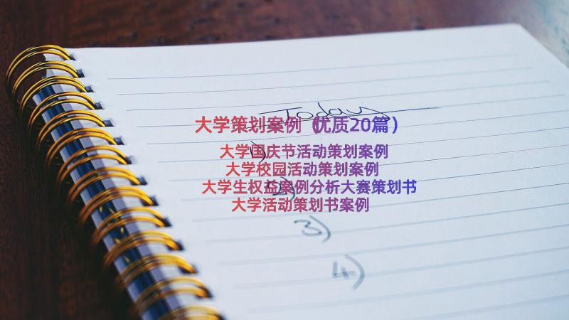 大学策划案例（优质20篇）