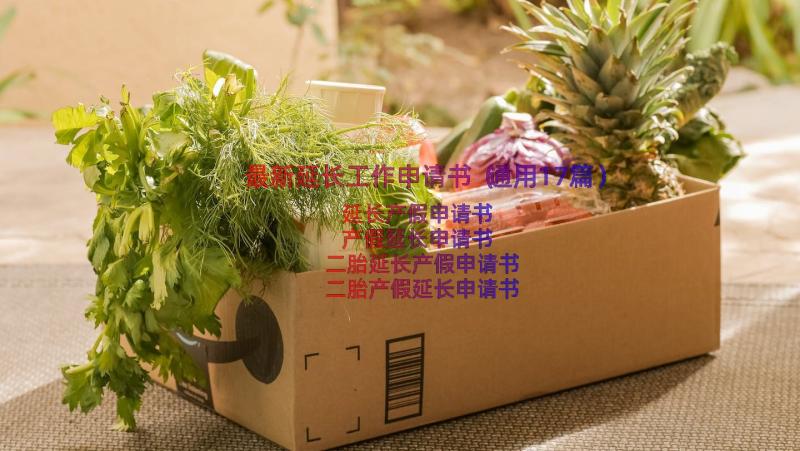 最新延长工作申请书（通用17篇）