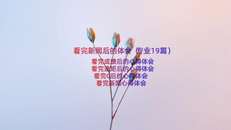 看完新闻后的体会（专业19篇）