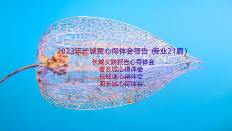 2023年长城赞心得体会报告（专业21篇）