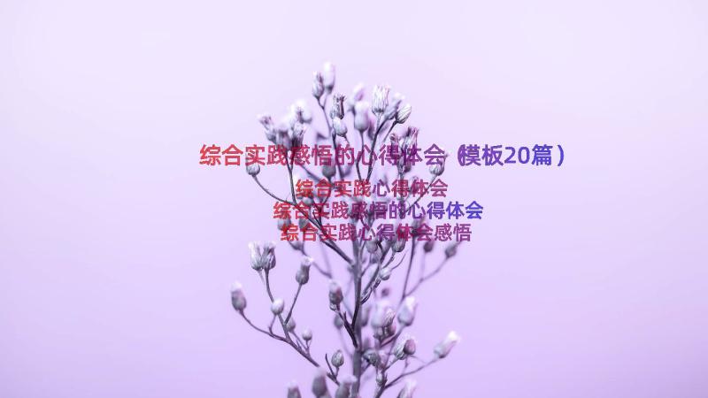 综合实践感悟的心得体会（模板20篇）