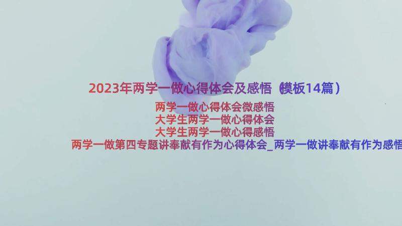 2023年两学一做心得体会及感悟（模板14篇）