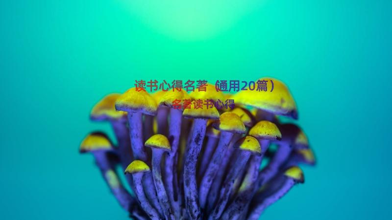 读书心得名著（通用20篇）