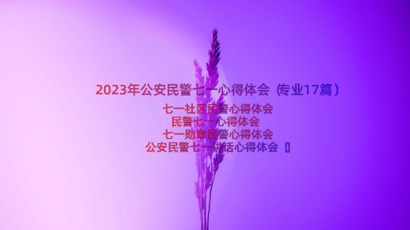 2023年公安民警七一心得体会（专业17篇）