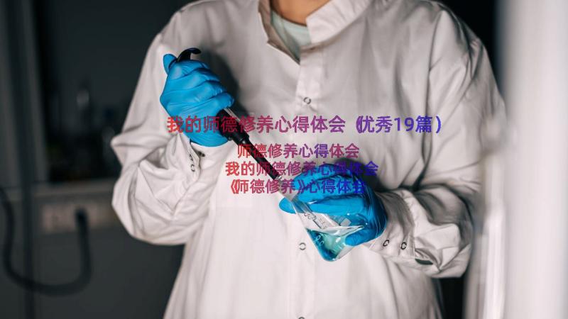 我的师德修养心得体会（优秀19篇）