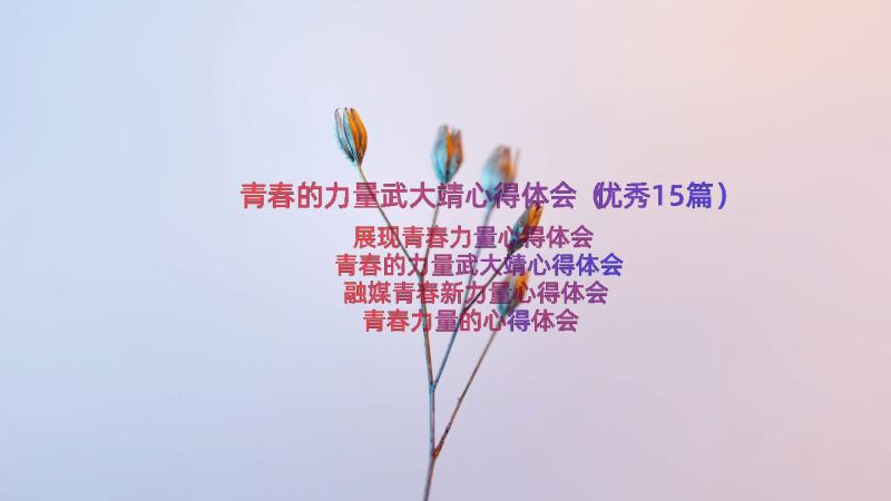 青春的力量武大靖心得体会（优秀15篇）