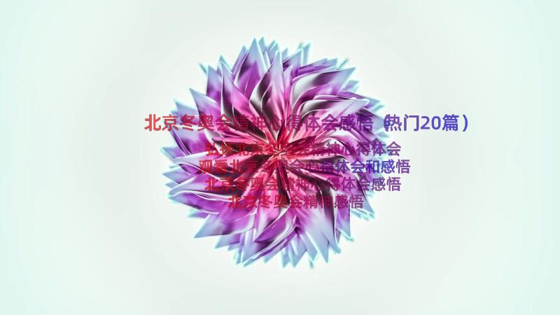 北京冬奥会精神心得体会感悟（热门20篇）