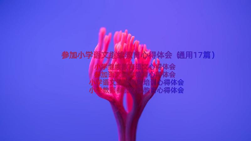 参加小学语文继续教育心得体会（通用17篇）