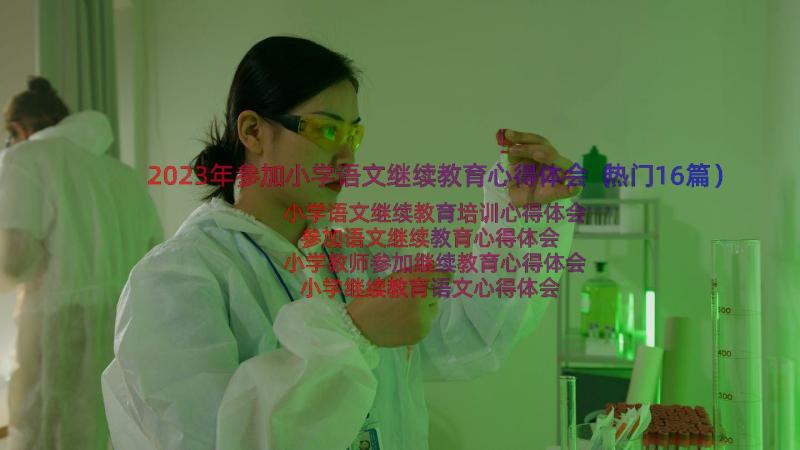 2023年参加小学语文继续教育心得体会（热门16篇）