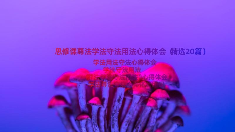 思修课尊法学法守法用法心得体会（精选20篇）