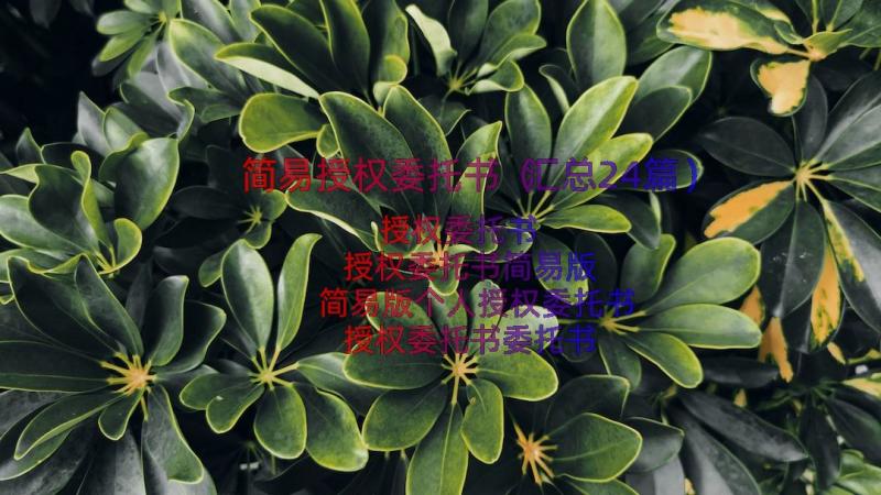 简易授权委托书（汇总24篇）