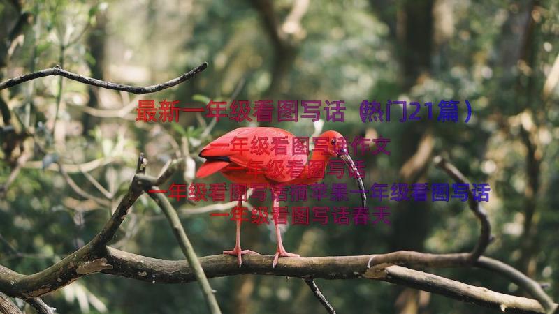 最新一年级看图写话（热门21篇）