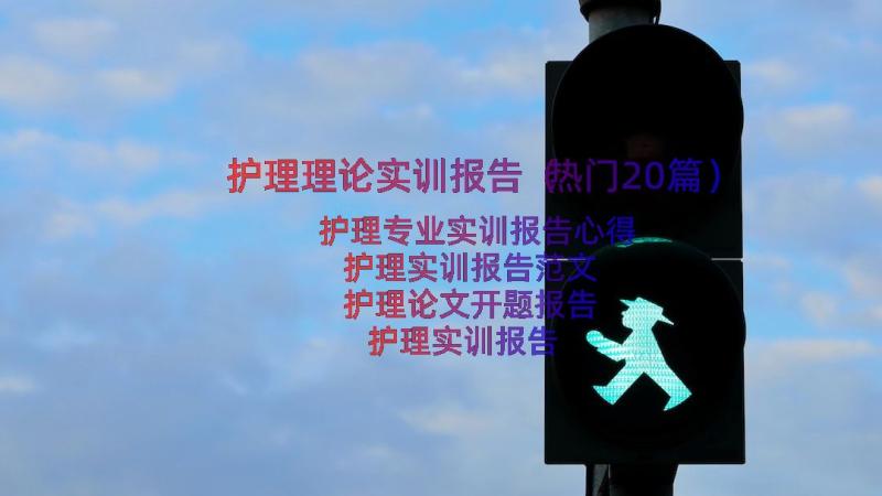 护理理论实训报告（热门20篇）