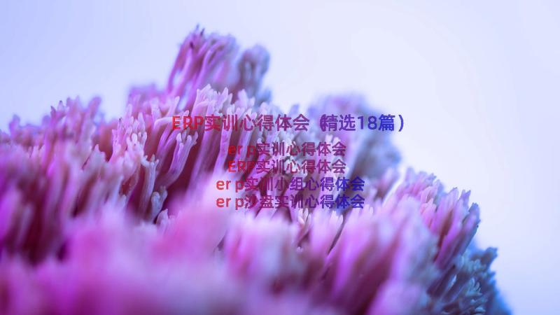 ERP实训心得体会（精选18篇）