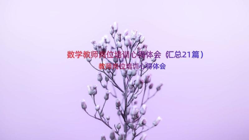 数学教师岗位培训心得体会（汇总21篇）